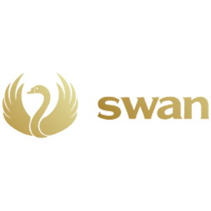 Swan 天鵝內衣 